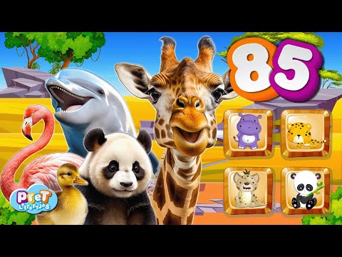 Leukste Dieren Afleveringen van Pretlettertjes ⭐️ 85 Dierengeluiden ⭐️