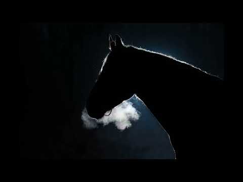 Paul Harvey Wisdom - President Who Rode His Horse at Night