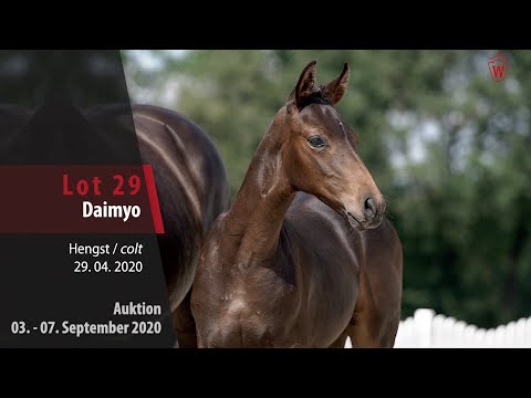 Online-Auktion v. 03. - 07.09.2020 Lot 29 Daimyo Hengst v. Dantano - Sandro Song