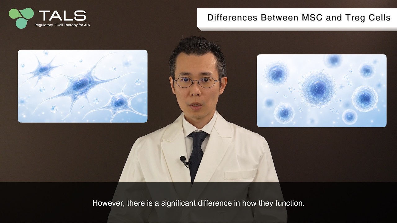 ③ Differences Between MSCs and Treg Cells