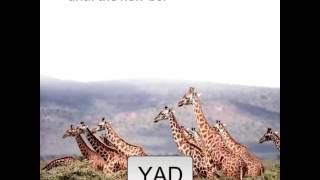 the giraffes an amazing story of  giraffes  greate video ... amazing words 2017