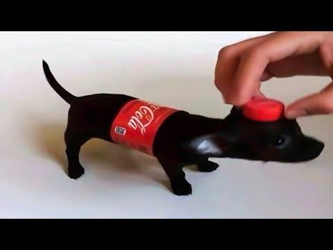 SI TE RÍES PIERDES NIVEL DIOS 🤣 [999.99 IMPOSIBLE NO REÍRSE] 🚨😂 Videos De Risa Muy Graciosos