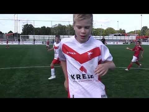 20240914  2  DOVO JO12-1 - Valleivogels JO-12