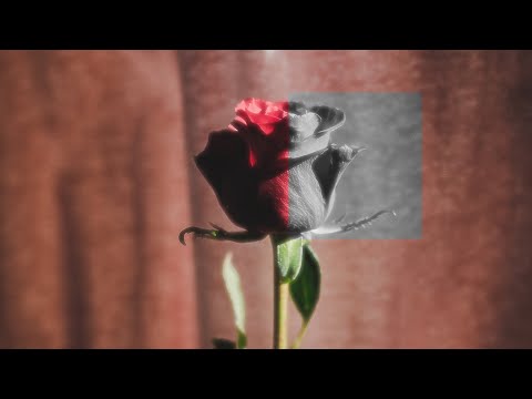 Lil Ngabs feat.  Ajixxx  - as sharp as rose's thorns