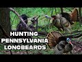 Insane Turkey Gobbling In Pennsylvania Epic Spring Hunt 2025