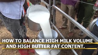 How to Balance High Milk Volume and High Butter Fat content in your #dairyfarming  #milk