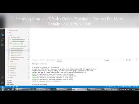 AngularJS Paths Online Training