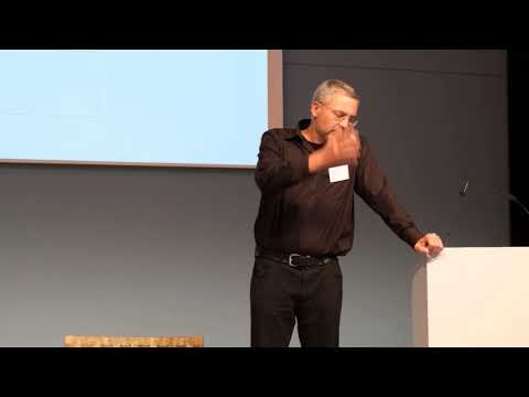 Stefan Kühl 2021 Schulen - übersteuert und ungesteuert