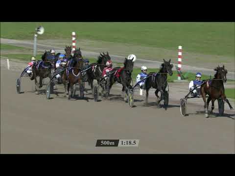 Victoria Park Wolvega 08-10-2021 Koers 3 Jello W - Finn Verkaik