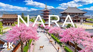 Nara, Japan Spring 4K UHD 🌸 Timeless Spring Calm – Sakura Temples, Sacred Deer & Calming Music