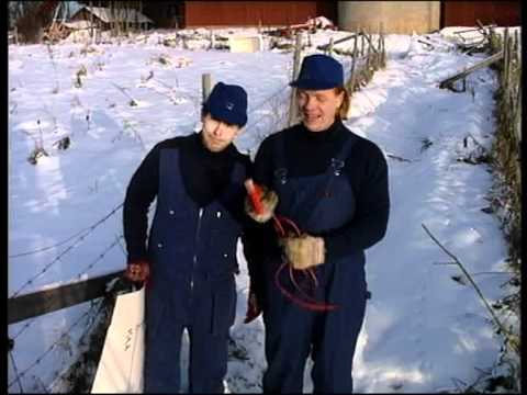 Kummeli, Jakke ja Sepi, Sähköpaimen