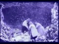 The Notwist -  Trashing days