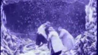 The Notwist -  Trashing days