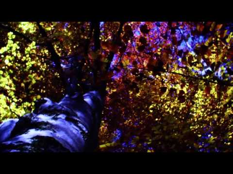 Tristeria   In Your Eyes