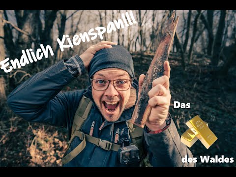 Das Suchen hat ein Ende - endlich Kienspan, das Gold des Waldes.