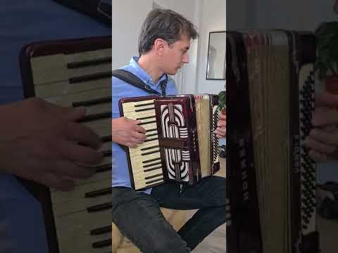 Flavius Niculcea   Mam saturat de acesta lume stricata  Instrumental