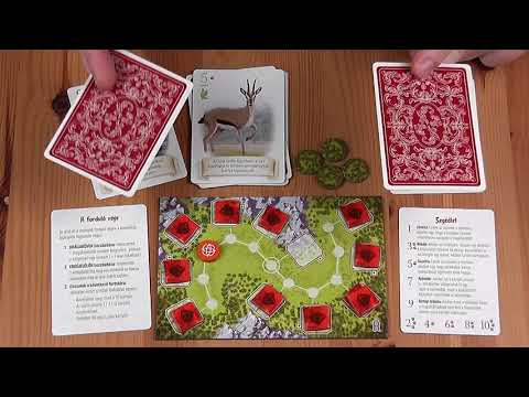 JÁTÉKSZABÁLY: KETTEN A BŰVÖS RENGETEGBEN - d3meeples