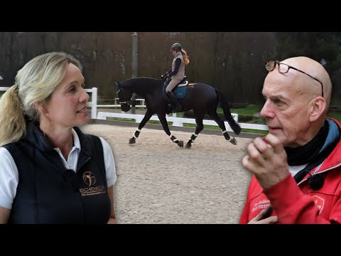 Neues Dressurpferd - Die Arbeit mit dem riesigen Rappen hat begonnen und der Schmied muss was tun