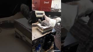 Short-term aging process of asphalt binders using Rolling Thin Film Oven (RTFO)