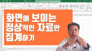 화면에 보이는 정상적인 엑셀 자료만 집계하는 방법 | 엑셀러 권현욱