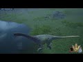 Camara Drinking Animation Loop Issue Build 4689