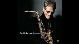 David Sanborn Tequila