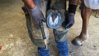 L'arte della Mascalcia. Un antico mestiere di cui Angelo Martufi è tra gli interpreti più apprezzati