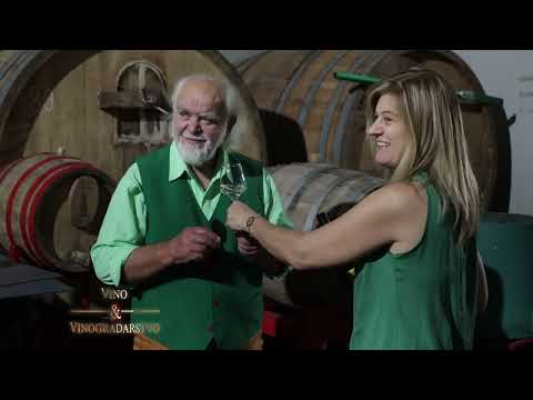 Mačkov podrum - Vino i Vinogradarstvo