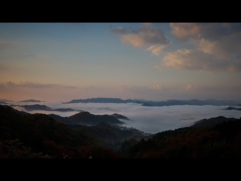 野間雲海ビュースポットのライブカメラ映像