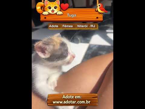 Vídeo de Tuga