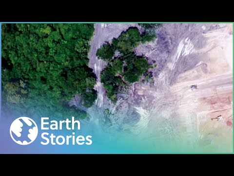 , title : 'How A Gold Rush Almost Destroyed The Amazon | Earth Stories'