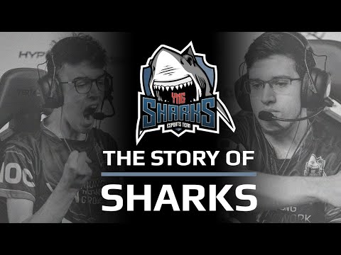 ECS S8 - Story of Sharks