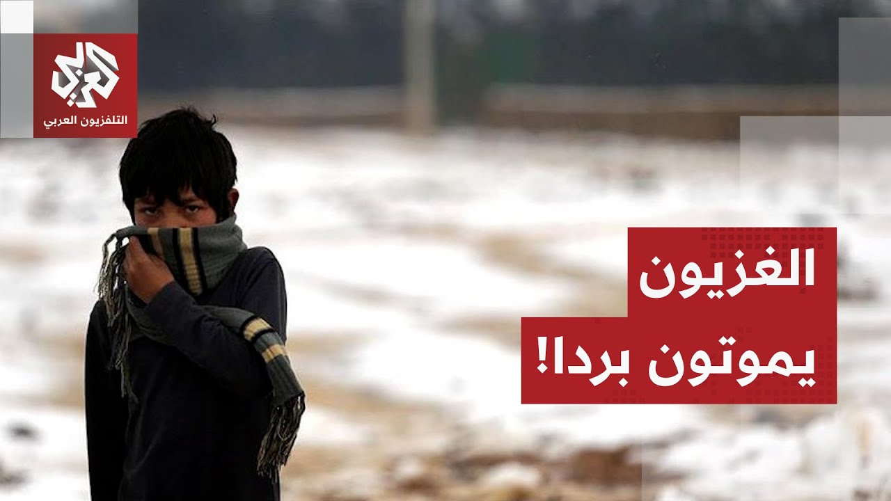 الشتاء الثالث والأقسى على مليون ونصف غزّي يعيشون في الخيام.. تفاصيل الصورة في