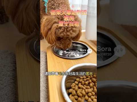 苗栗市火車站旁｜2樓15坪大套房｜可寵｜可租補|屋主自租 獨立套房 苗栗市-為公路195巷 591租屋 月租12,000元/月