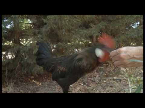 Balnearios de leyenda