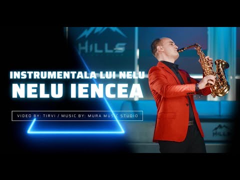 Nelu Iencea    Instrumentala lui NELU