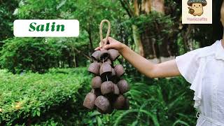Download lagu Koleksi Suara Hutan — Harmoni Lembut Bumi & Alam 🌿 mp3