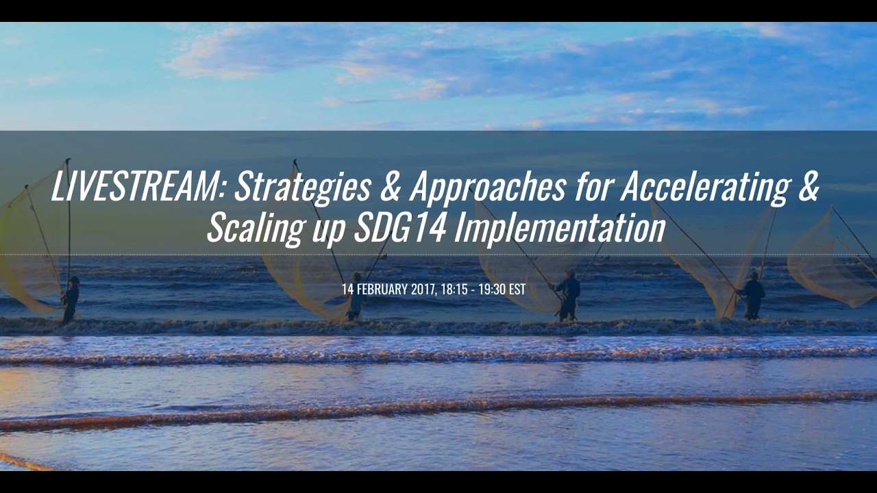 Strategies & Approaches for Accelerating & Scaling up SDG14 Implementation