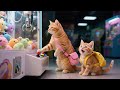Mama Cat Mengajak Ginger Ke Mal Untuk Menonton Film Dan Bermain Mesin Claw