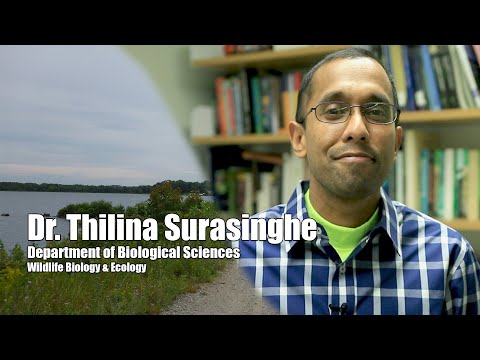 Dr. Thilina Surasinghe | Biological Sciences | Bridgewater State University