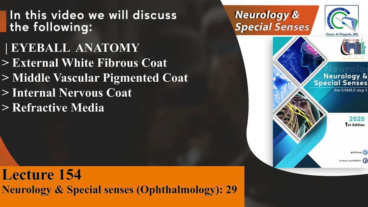 Eyeball Anatomy | Sclera | Cornea | Choroid | Ciliary Body | Iris | Optic Disk | Aqueous Humor| Lens