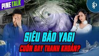 VN-Index phản ứng với siêu bão Yagi  | Livestream Pinetalk