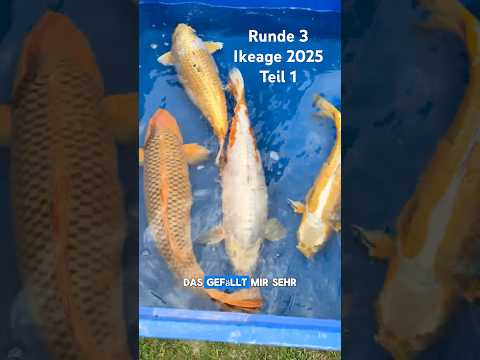 Wachstumsteich Teil 1