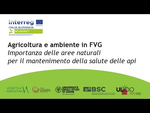 , title : 'Agricoltura e ambiente in FVG. Le aree naturali per il mantenimento della salute delle api.'