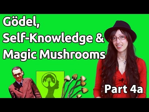(4a) Gödel, Self-Knowledge & Magic Mushrooms – Transcending Stuff to Know Stuff