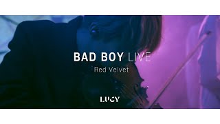 [影音] LUCY - Bad Boy (cover)