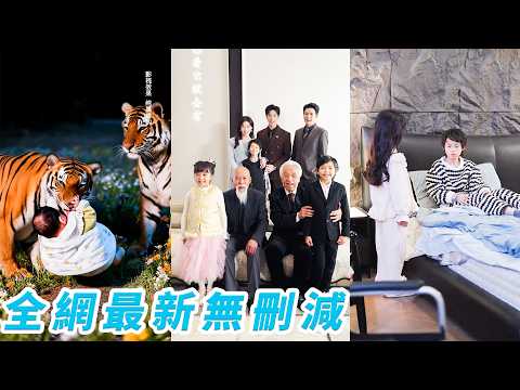 被老虎養大的小女孩回城認親被拒，意外救下總裁被帶回豪門，一進門便治好病危爺爺和癱瘓哥哥，從無人要的野孩子變成全家捧在手心的團寵小福星#萌娃#甜宠