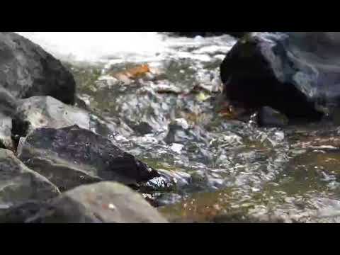 Nature #waterfalls sound # Princy and Adonia vlogs