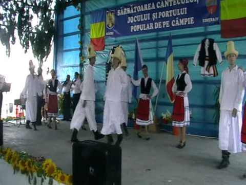 42 Targu lui Ilie 2010 - Ansamblul Muresul