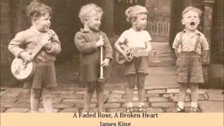 A Faded Rose, A Broken Heart   James King